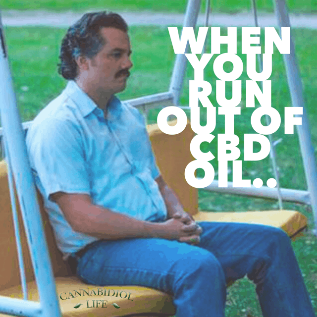 pablo escobar cbd meme