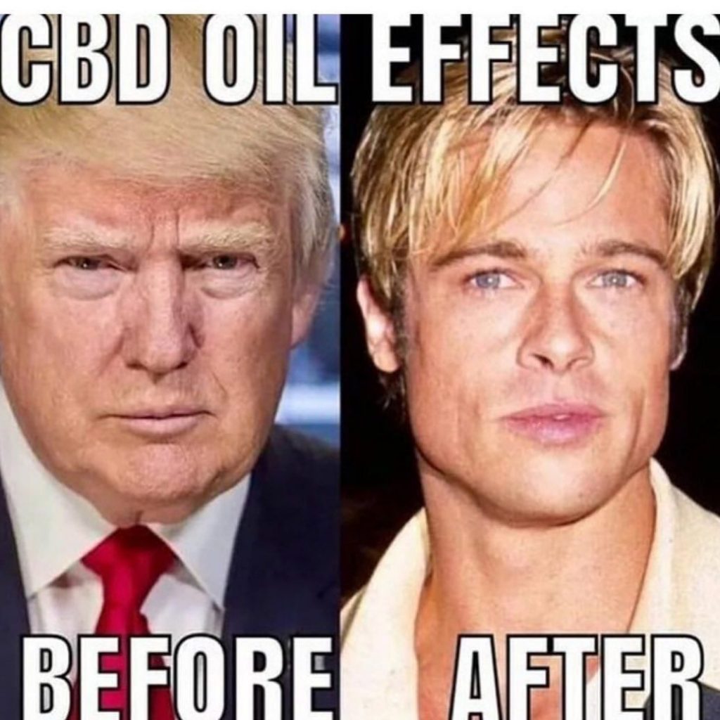 trump brad pitt cbd effects meme