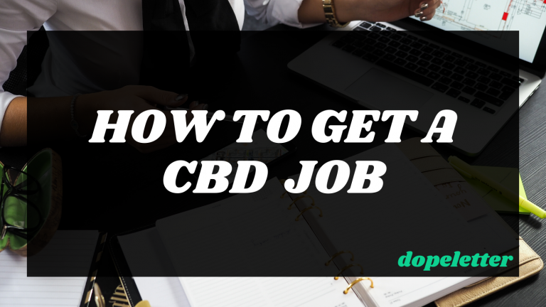 CBD Jobs | How to Get a CBD Job in 2020