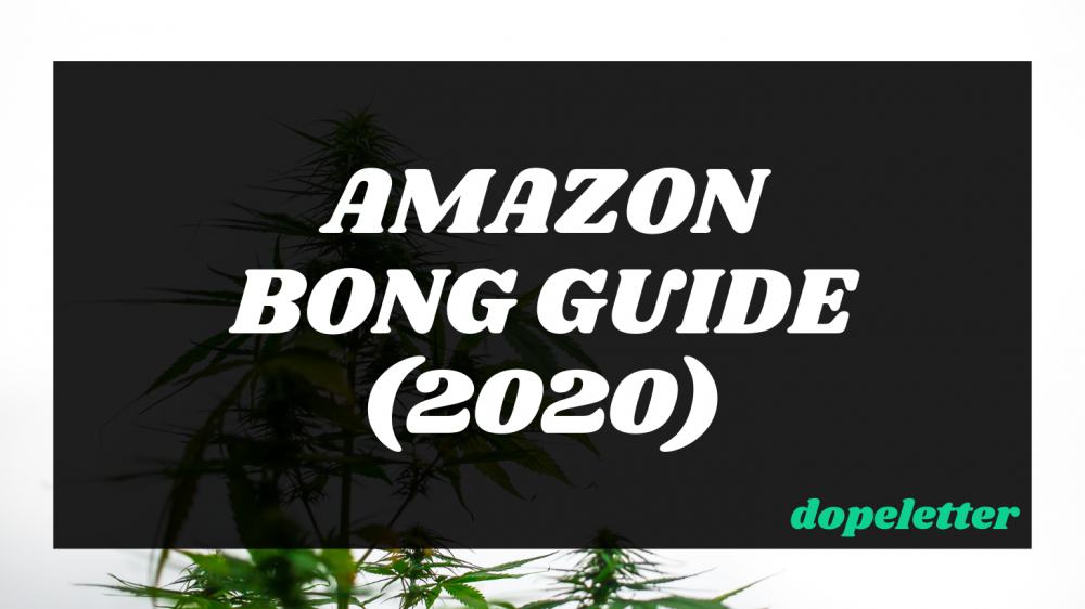 Amazon Bongs Guide | The Best Bongs On Amazon (2021 And 2022 Updated ...