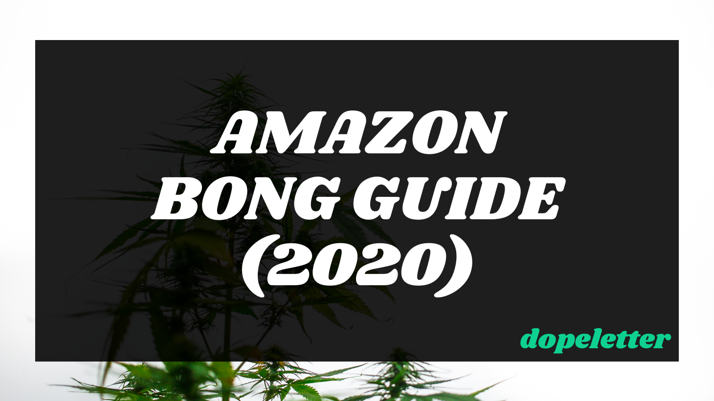 Amazon Bongs Guide Dopeletter