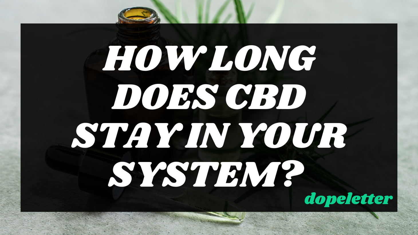 How Long Does CBD Last in your system
