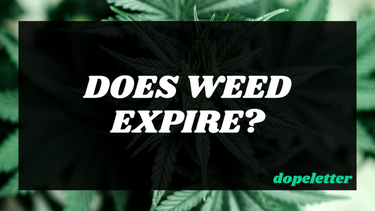 Does Weed Expire? | Everything You Need to Know